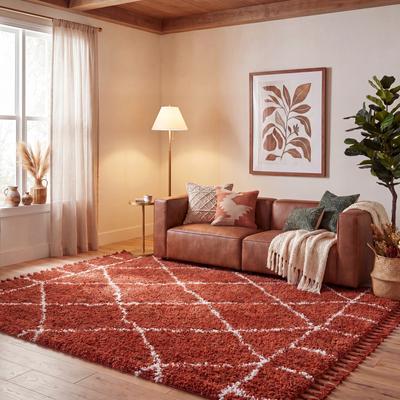 SAFAVIEH Pro Luxe Shag Marella Moroccan Tassel 2.4-inch Thick Rug