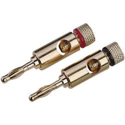 CONRAD High-End Lautsprecher-Steckverbinder Stecker, gerade Polzahl: 1 Gold 2 St.