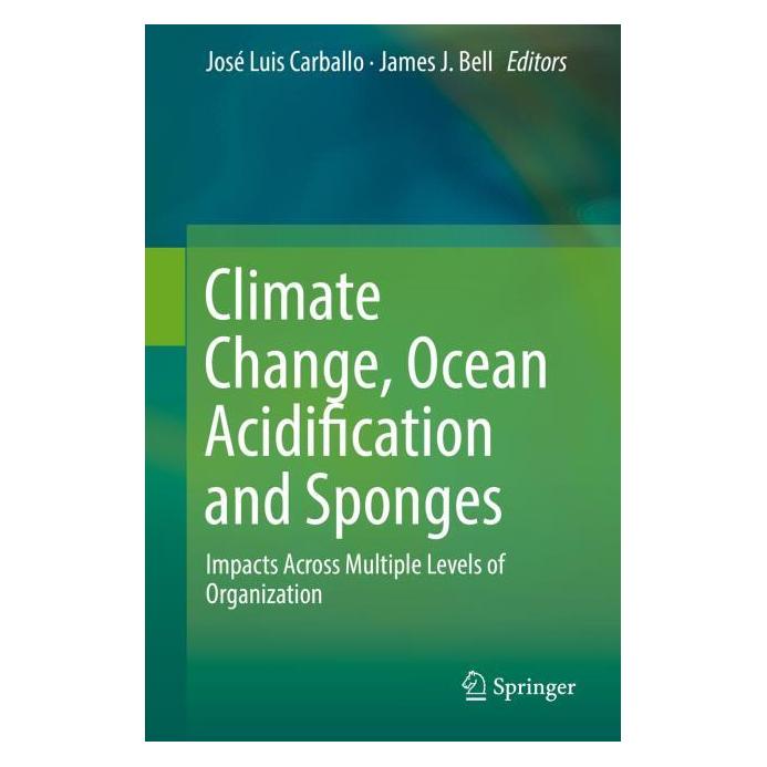 Springer Climate Change, Ocean Acidification and Sponges (Englisch, Hardcover, James J. Bell, José Luis Carballo) (9783319590073)
