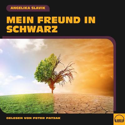 Mein Freund in Schwarz - Angelika Slavik, Audio, 9783991571186