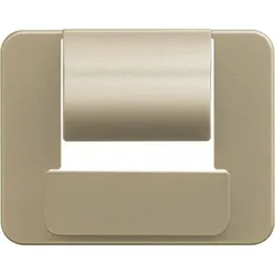 Busch-Jaeger Zentralscheibe palladium 6477-260