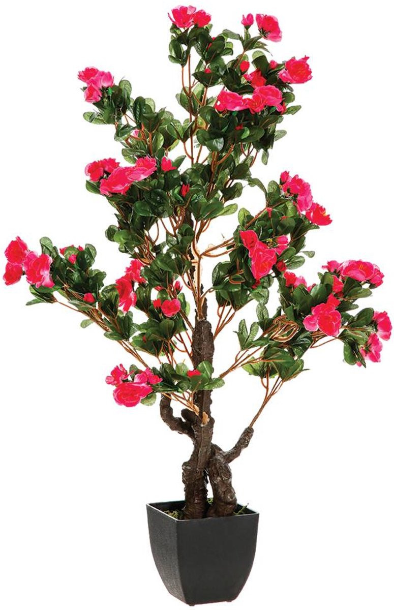 Atmosphera Kunstmatige Azalea