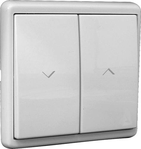 Kaiser Nienhaus 321113 Wandtaster Unterputz
