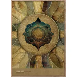 ChiCura, Bilder, Ideal Form Poster (100 x 140 cm)