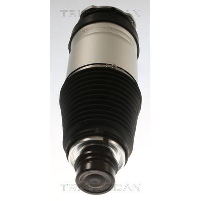 TRISCAN Luftfeder, Fahrwerk 872081101 für Tesla