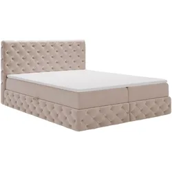 BOXBETT Canolo 180x200 Beige