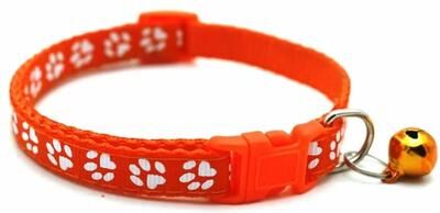 Uplift Essentials Charming Adjustable Pet Bell Collar orange