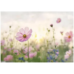 FOTOTAPETE Blumenwiese Vlies Tapete Wohnzimmer 300x210