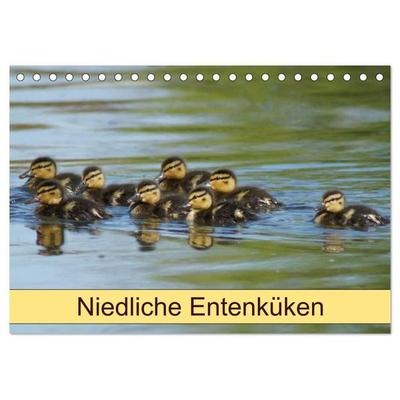 Niedliche Entenküken (Tischkalender 2027 DIN A5 quer), CALVENDO Monatskalender