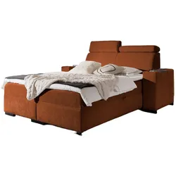 BOXBETT Nestor Dress Me Set.2