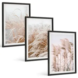 BILDER SET 3er Set - 40x60 cm Schwarzer Rahmen - Grasflächen in Braun- und Beigetönen