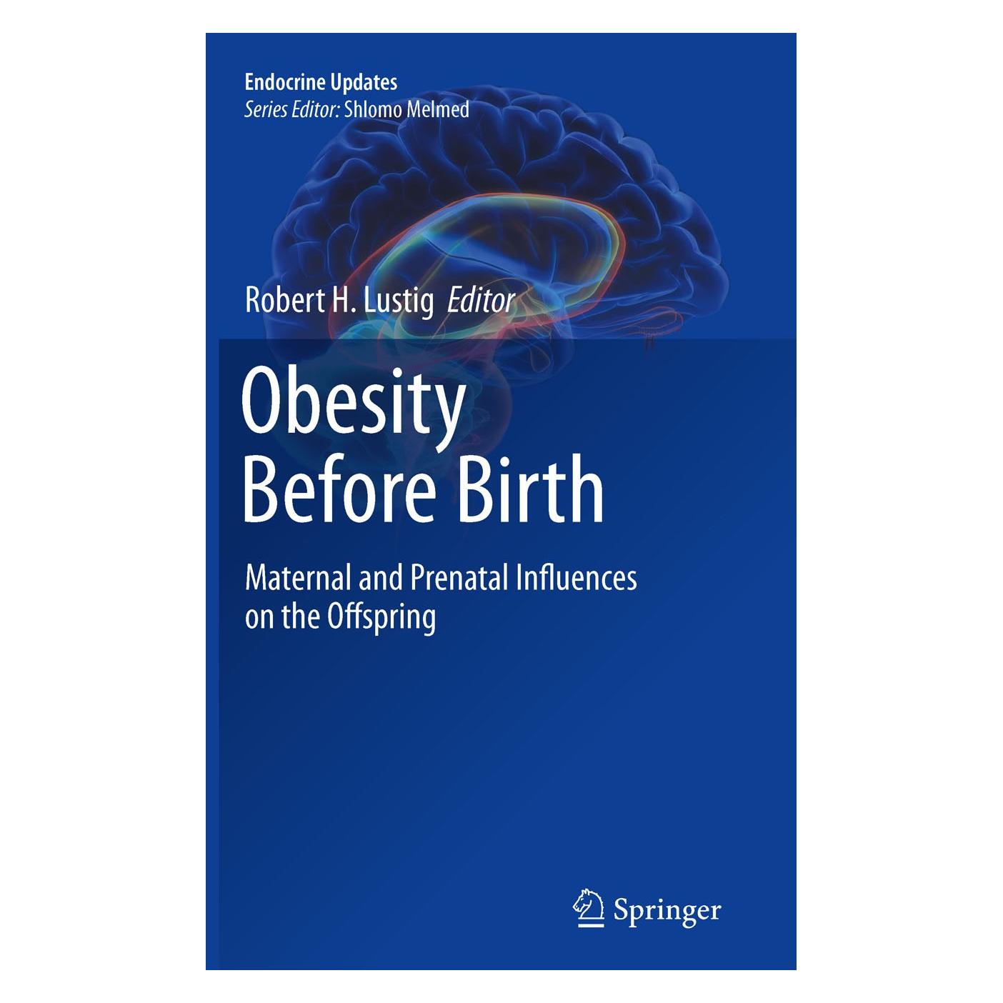 Springer Obesity Before Birth (Englisch, Hardcover, Robert H Lustig) (9781441970336)