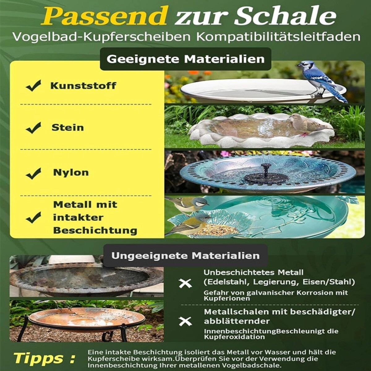INF Vogelbad-Reiniger - 99.99% reine Kupferscheibe, 0.6 mm dick, Roségold Kupfer-Reiniger für Vogelbäder, erhält Wasserklärung