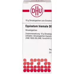 Equisetum Hiemale D 6 10 G
