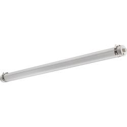 Pracht 5240034-TUBIS_BL LED-Rohrleuchte LED LED fest eingebaut 36 W Weiß Farblos