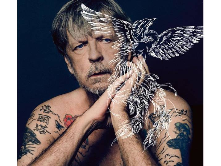 Renaud (Phénix)