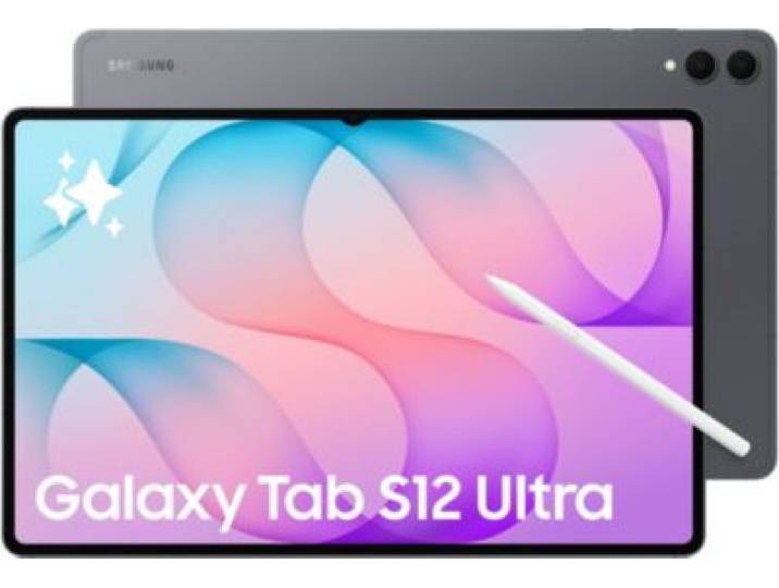 Samsung - Tablette Android Galaxy Tab S12 Ultra Wifi 1to Gris
