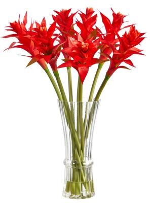 Nearly Natural "23"" Star Bromeliad Artificial Arrangement in Glass Vase"
