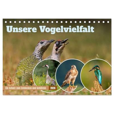 Unsere Vogelvielfalt: Ein Schatz zum Entdecken und Schützen (Tischkalender 2026 DIN A5 quer), CALVENDO Monatskalender