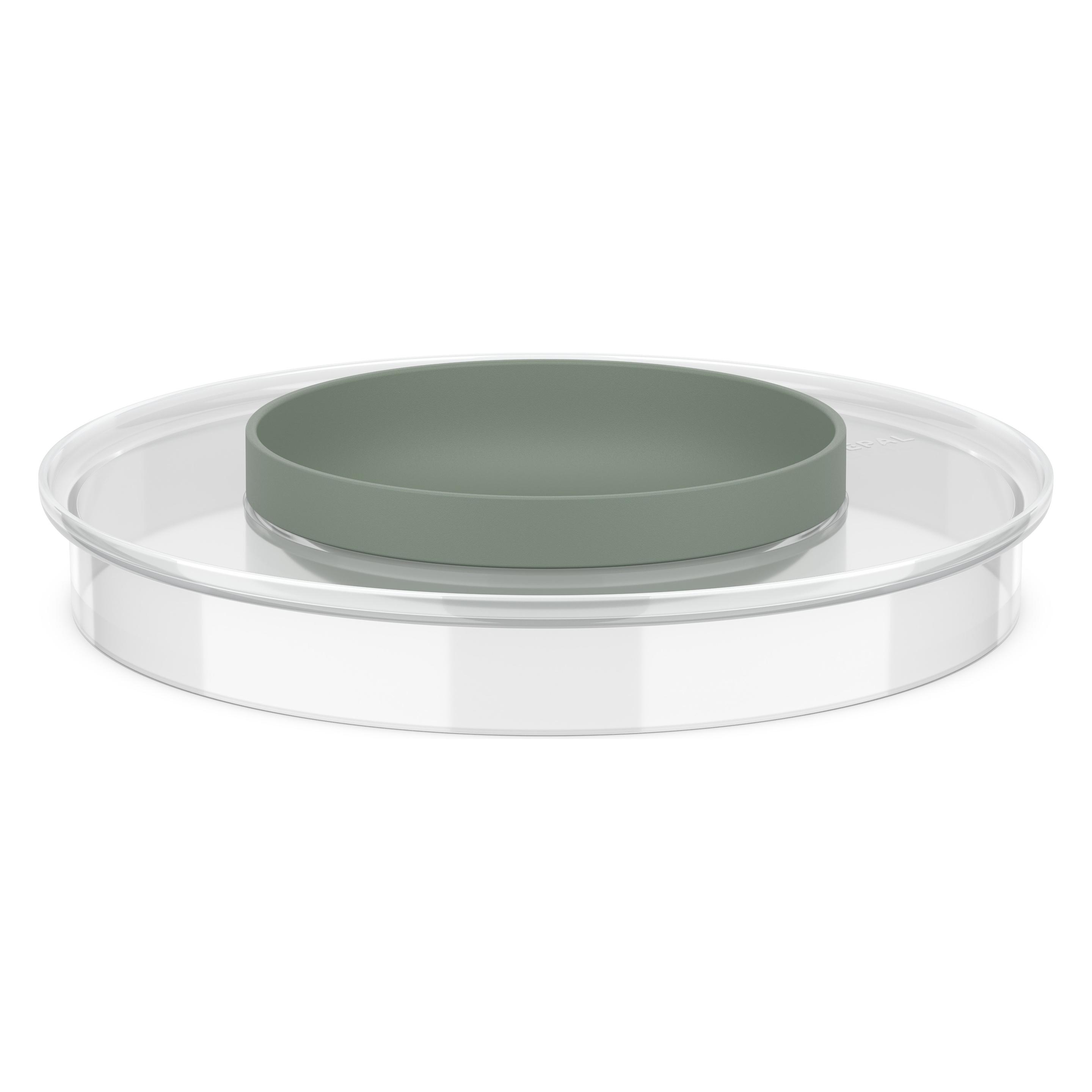 Mepal Deckel für Schüssel Chef It transparent, nordic sage, 1 St. (102308594700)