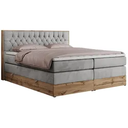 BOXSPRINGBETT AMORE KING 180/200 Hellgrau Velvet - H4