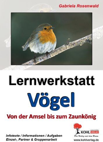 Gabriela Rosenwald - Lernwerkstatt Vögel Von der Amsel bis zum Zaunkönig: Ein Leben aus der Vogelperspektive - Preis vom 15.10.2026 23:06:25 h