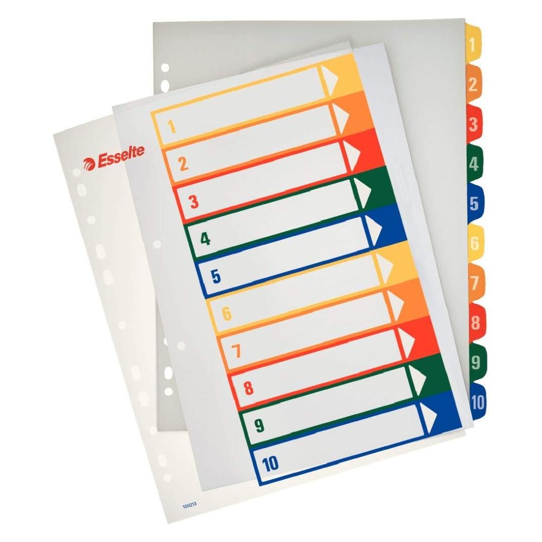 Esselte Register Projekt PP A4+ Printb (100213)