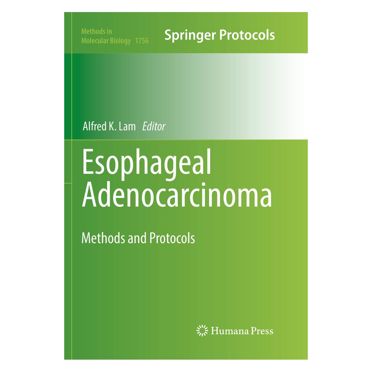 Springer Esophageal Adenocarcinoma (Englisch, Softcover, Alfred K. Lam) (56056599)