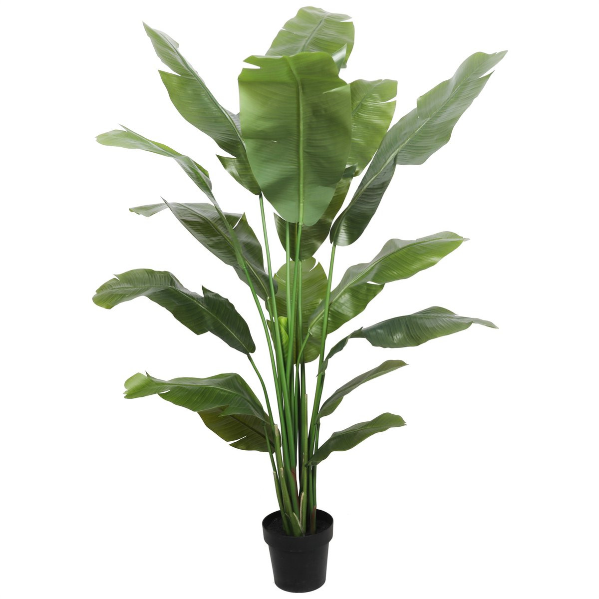 Kunstplant bananenboom Hoogte: 180 cm