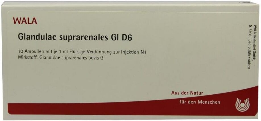 Wala Glandulae Supraren. Gl D6 Ampullen