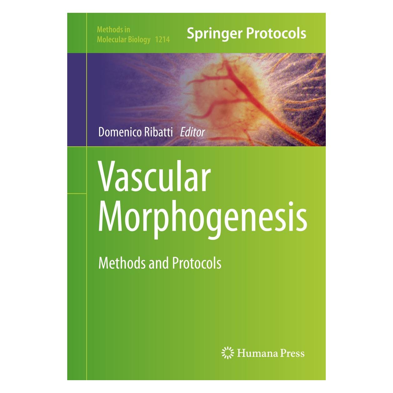 Springer Vascular Morphogenesis (Englisch, Hardcover, Domenico Ribatti) (9781493914616)