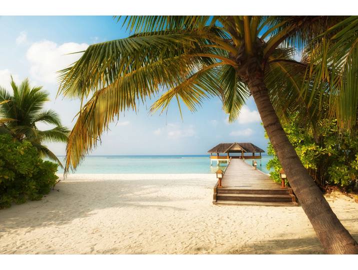 Papermoon PALMEN-STRAND-KARIBIK SÜDSEE MEER DÜNEN STEG SONNE