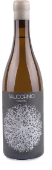 Casa Balaguer - Vinessens Casa Balaguer Salicornio Moscatel 2024 - 75cl