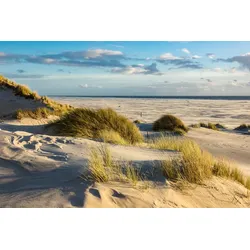 Fototapete PAPERMOON "DÜNEN-AMRUM NORDSEE STRAND MEER INSEL HOLSTEIN GRAS XXL", bunt, B:2,5m L:1,86m, Vlies, Tapeten