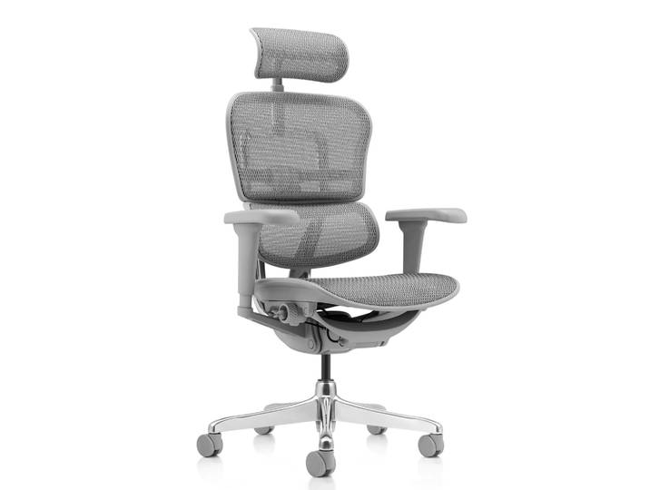 ERGOHUMAN ULTRA G GEN2 Netz - Luxus Chefsessel Grau