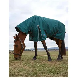 Weatherbeeta, Pferdedecke, (150 cm)