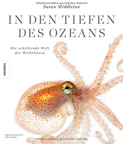 Susan Middelton - In den Tiefen des Ozeans: Die schillernde Welt der Wirbellosen - Preis vom 09.10.2026 07:28:09 h