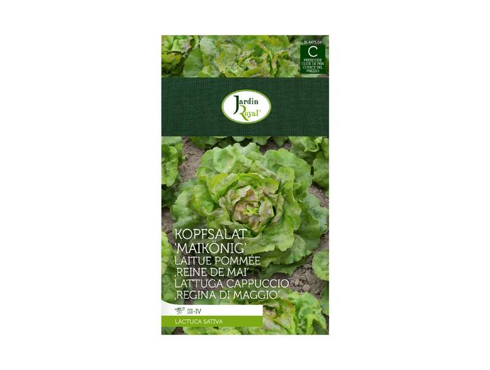 Jardin Royal Kopfsalat Maikönig