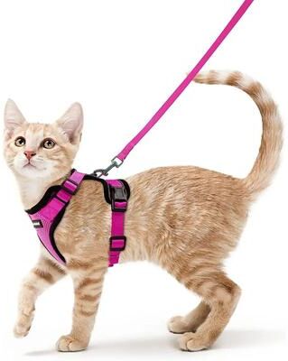 Inspired Living PawSecure Reflective Cat Harness And Leash Escape Proof Adjustable Vest For Safe Outdoor Adventures rose Red xs