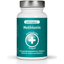 aminoplus Methionin plus Vitamin B Komplex 60 St Kapseln