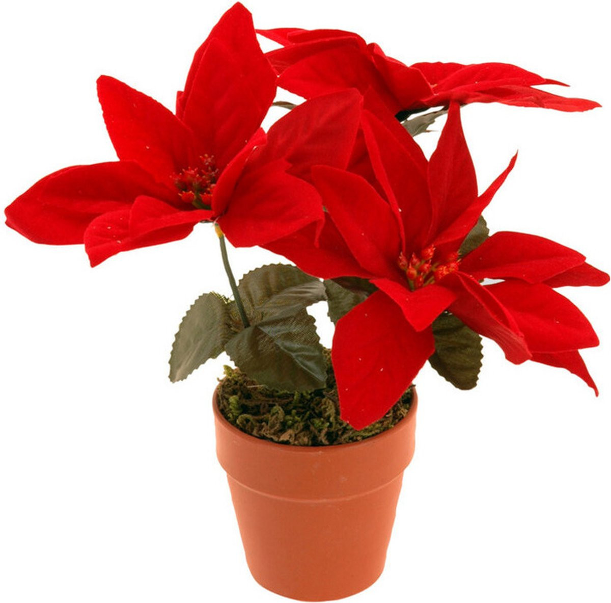 Rode Kerstster Kunstplant voor Binnen - 20 cm
