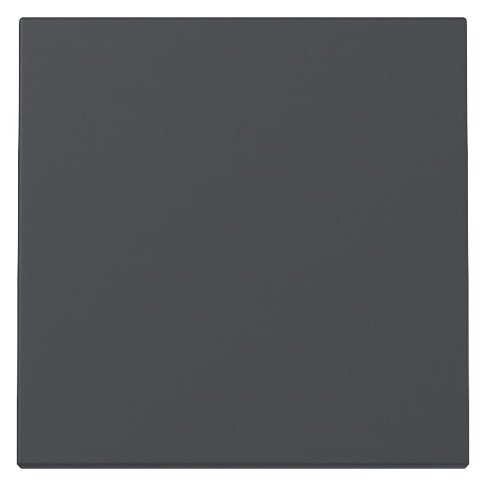 Gira Wippe System 55 Anthrazit 329628 (329628)