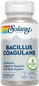 Solaray Bacillus Coagulans 60 VCaps