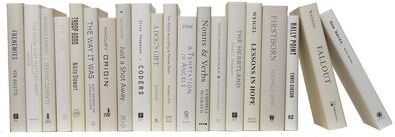 Booth & Williams Decorative Books - Beach Dust Jacket - Beige Books By The Foot
