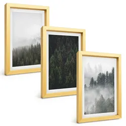 BILDER SET 3er Set - 20x30 cm Goldrahmen - Grüne Wälder Nebel Natur