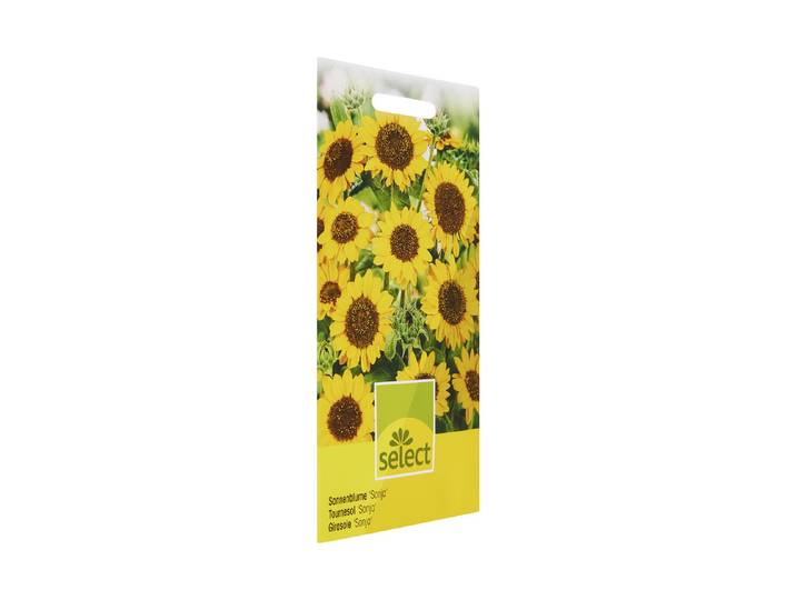 Select Sonnenblume Sonja