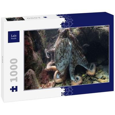 Lais Puzzle Krake 1000 Teile