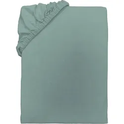Tom Tailor Jersey Spannbettlaken Eucalyptus 180-200x200 cm
