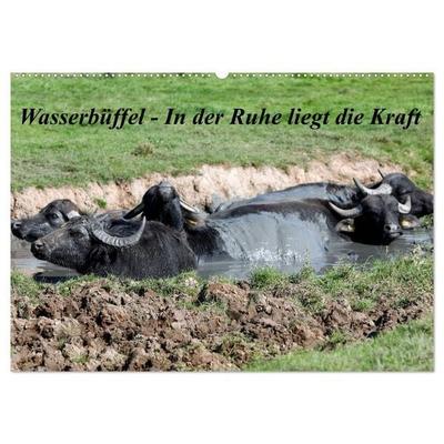 Wasserbüffel - In der Ruhe liegt die Kraft (Wandkalender 2027 DIN A2 quer), CALVENDO Monatskalender