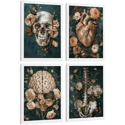 POSTER Set aus 4 Anatomie Drucke und Wandbilder mit Schädel Herz Gehirn Wirbelsäule Skelett Becken Klassisches Florales Design Größe Weißer Rahmen A3